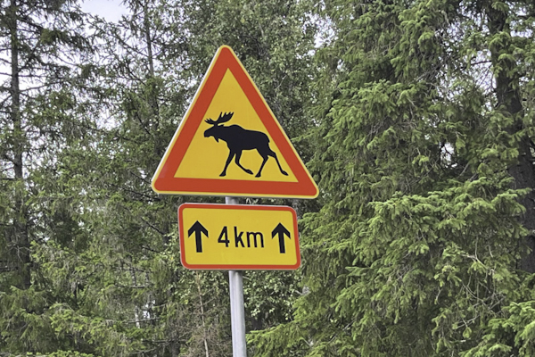 Destination Report Finland