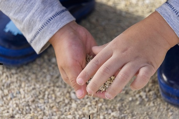 Are We Listening to Children? Children's Rights Beyond the Headlines